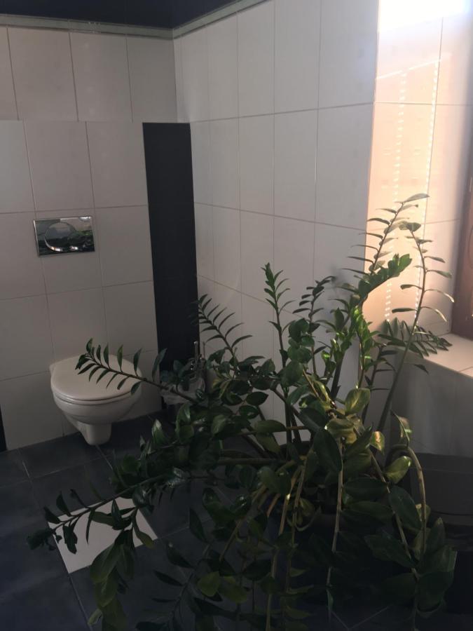 Penzion A Pivnice Varna Velká Bystřice Dış mekan fotoğraf